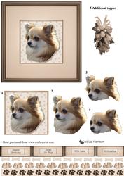 Chihuahua Portrait 3D Decoupage