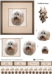 Coton De Tulear Portrait 3D Decoupage