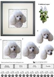 Poodle (toy) Portrait 3D Decoupage