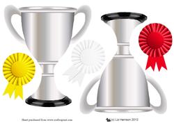 Silver Trophy & Rosettes Toppers