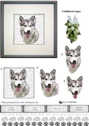 Alaskan Malamute Portrait 3D Decoupage