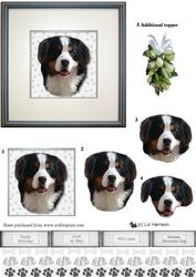 Bernese Mountain Dog Portrait 3D Decoupage
