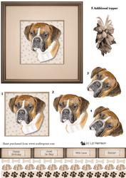 Boxer Dog Portrait 3D Decoupage