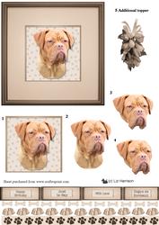 Dogue De Bordeaux Portrait 3D Decoupage