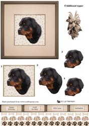 Rottweiler Portrait 3D Decoupage