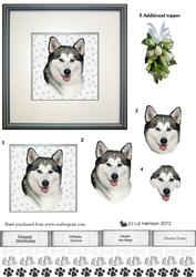 Siberian Husky Portrait 3D Decoupage