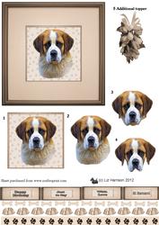 St.bernard Portrait 3D Decoupage