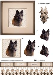 Belgian Shepherd Dog Tervueren Portrait 3D Decoupage