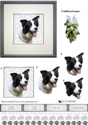 Border Collie Portrait 3D Decoupage