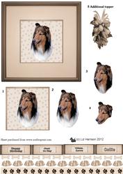 Collie (rough) Portrait 3D Decoupage