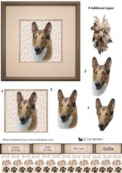 Collie (smooth) Portrait 3D Decoupage