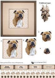 Staffordshire Bull Terrier Portrait 3D Decoupage