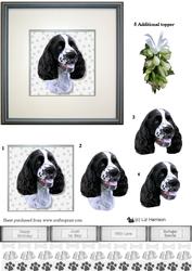 Springer Spaniel Portrait