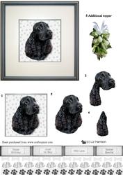 Cocker Spaniel Portrait