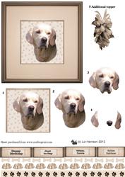 Golden Retriever Portrait
