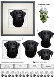 Labrador Portrait