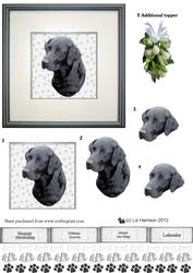 Black Labrador Portrait 3D Decoupage