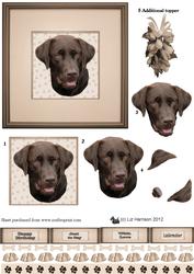 Chocolate Labrador Portrait 3D Decoupage