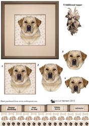 Golden Labrador Retriever Portrait 3D Decoupage
