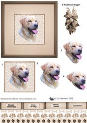 Labrador Portrait 3D Decoupage