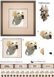 Golden Labrador Portrait 3D Decoupage