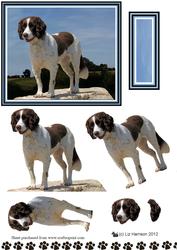 Springer Spaniel Scene 3D Decoupage