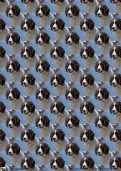 Springer Spaniel Scene Background Sheet