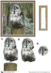 Ural Owl 3D Decoupage