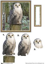 Snowy Owl 3D Decoupage