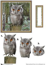 Scops Owl 3D Decoupage