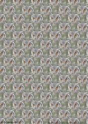 Scops Owl Background Sheet