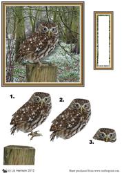 Little Owl 3D Decoupage