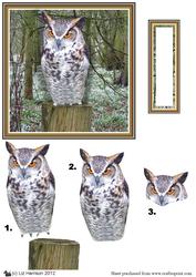 Long Eared Owl 3D Decoupage