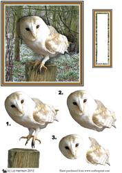 Barn Owl 3D Decoupage