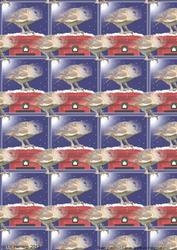 Barn Owl on a Post Box Background Sheet