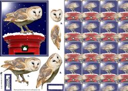 Barn Owl Christmas Post Box with Background