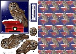 Tawny Owl Postbox with Background