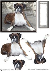 Boxer Dog Scene 3D Decoupage