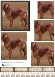 Red Setter Dog Pyramid