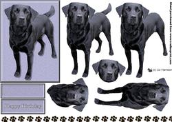 Black Labrador Dog 3D Decoupage