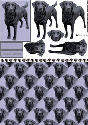 Black Labrador Dog 3D Decoupage with Background