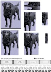Black Labrador Pyramid