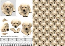 Golden Labrador Puppy 3D Decoupage with Background