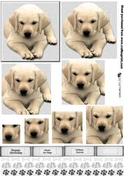 Golden Labrador Puppy Pyramid