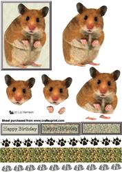 Hamster 3D Decoupage