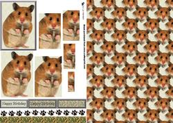 Hamster Pyramid with Background