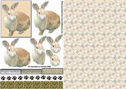 Beige Bunny 3D Decoupage with Background