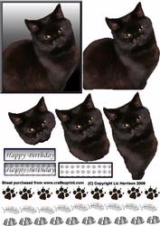 Black Cat Portrait 3D Decoupage