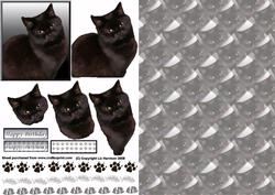 Black Cat Portrait 3D Decoupage with Background
