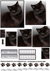 Black Cat Portrait Pyramid